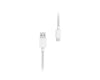 vivo Cable de Datos Type-C 4A - 1 Metro