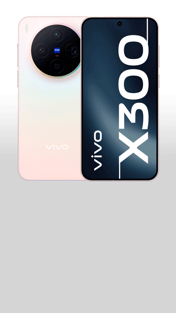 vivo X300